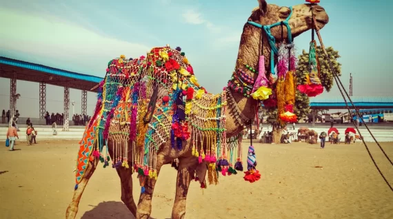 Pushkar