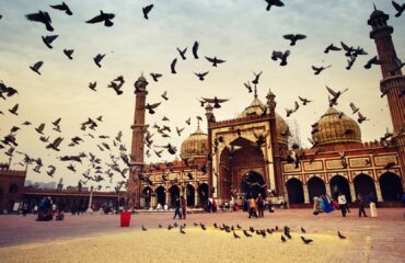 delhi 1