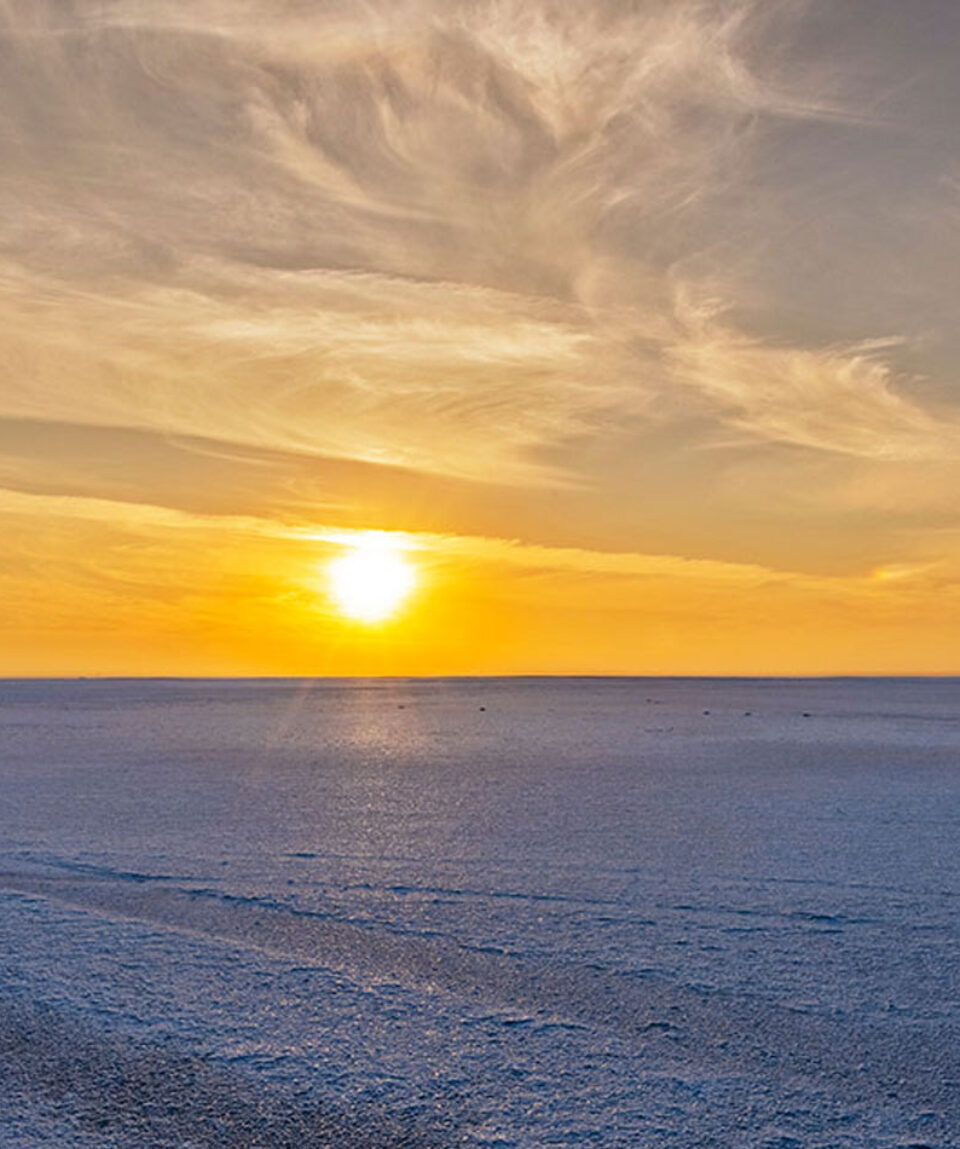 rannofkutch